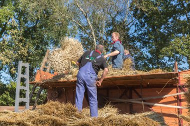 Nieuwehorne, Hollanda - 19 Ekim: yükleme çiftçiler 28 Eylül 2013 tarihinde tarım Festivali flaeijel sırasında Hollanda geleneksel saman Komitesi'nden saman