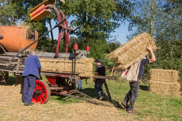 NIEUWEHORNE, PAESI BASSI - 28 SETTEMBRE: Gli agricoltori raccolgono e raccolgono il fieno durante la festa agricola Flaeijel il 28 settembre 2013, Paesi Bassi — Foto Stock
