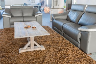 modern bir oturma alanı ile showroom mobilya mağazası
