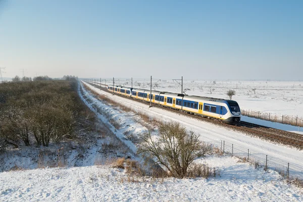 Trem amarelo na paisagem rural holandesa do inverno do Parque Nacional Oostvaardersplassen — Fotografia de Stock