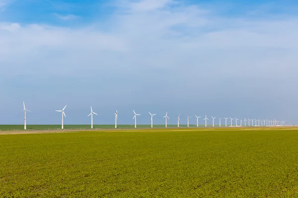 Turbinas eólicas en amplias tierras agrícolas holandesas — Foto de Stock