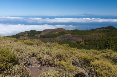 la palma volkanik manzara tenerife, manzaralı 100 kilometre uzakta Okyanusu üzerinden