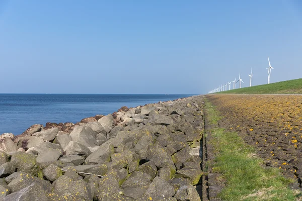 Nederlandse dijk langs de zee met windturbines — Stockfoto