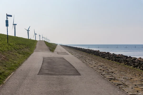 Holländsk vall längs havet med vindkraftverk — Stockfoto