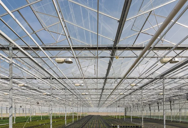 大的荷兰温室的玻璃屋顶 — 图库照片
