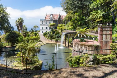 tropikal Bahçe gölet ve sarayda funchal, madeira Adası, Portekiz