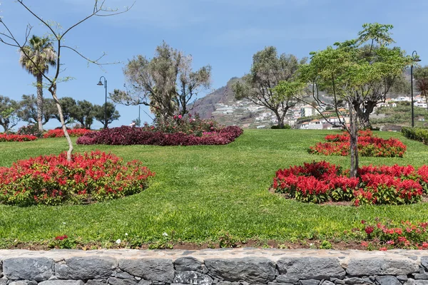Ogród szałwia w funchal, wyspa Madera, Portugalia — Zdjęcie stockowe