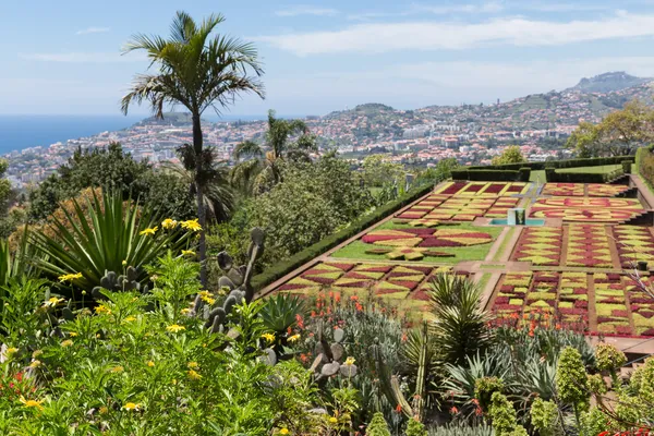 Jardín botánico de Funchal en la isla de Madeira, Portugal — Foto de Stock