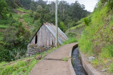 Hiking trail boyunca bir sulama levada madeira Adası, Portekiz