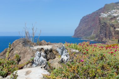 güzel sahil olan kayalıklarla, madeira Adası, Portekiz