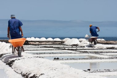 tuz çıkarımı la palma, canary Islands, el arabası ile çalışanları