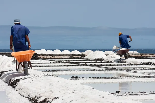 Arbeiter mit Schubkarre bei der Salzgewinnung La Palma, Kanarische Inseln — Stockfoto