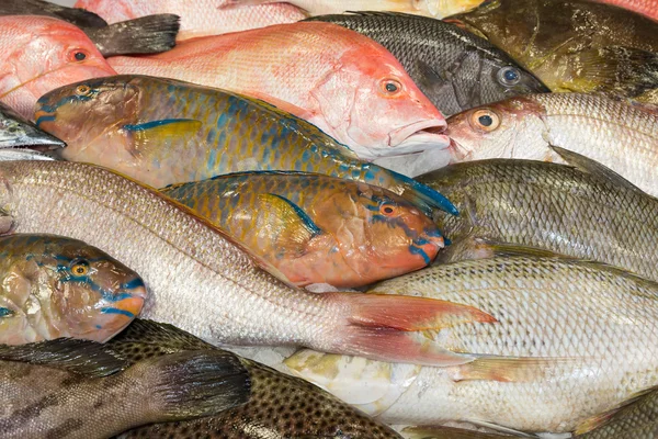 Varie pesce fresco in un mercato del pesce — Foto Stock