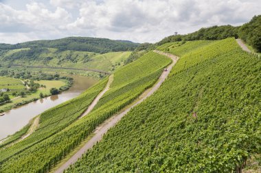 moselle Nehri boyunca Almanya bağlar
