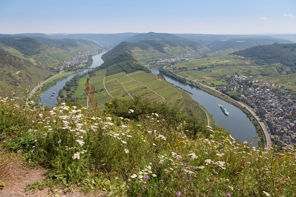 Zell ve punderich Almanya'da moselle Nehri — Stok fotoğraf