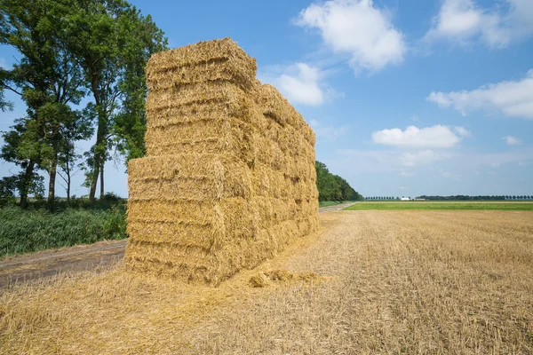 Terres agricoles néerlandaises avec meule de foin au champ de blé récolté — Photo