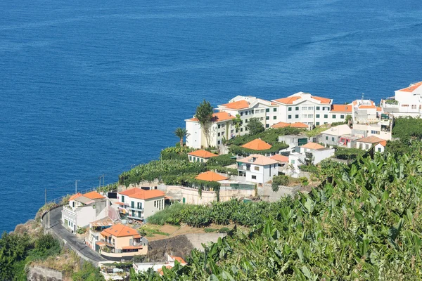 Madeira Adası kıyı şeridi boyunca evleri havadan görünümü — Stok fotoğraf