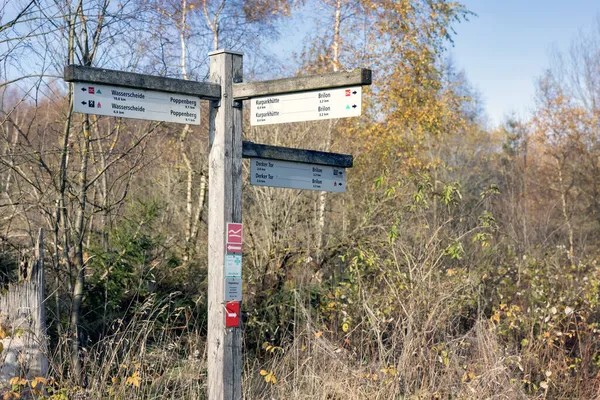 Wooden directional trail sign with different hiking trails — Stock Photo, Image