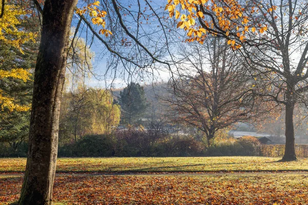 Puclic park with beautiful Autumn Colors — Stock Photo, Image