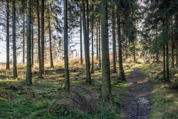 Beautiful autumn landscape at Rothaarsteig hiking trail near German Brilon — Stock Photo, Image