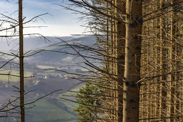 Tło pięknych drzew w niemieckim Sauerland jesienny krajobraz — Zdjęcie stockowe