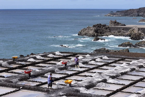 ラ・パルマ島のFuencaliente近くの塩抽出で働く労働者 — ストック写真