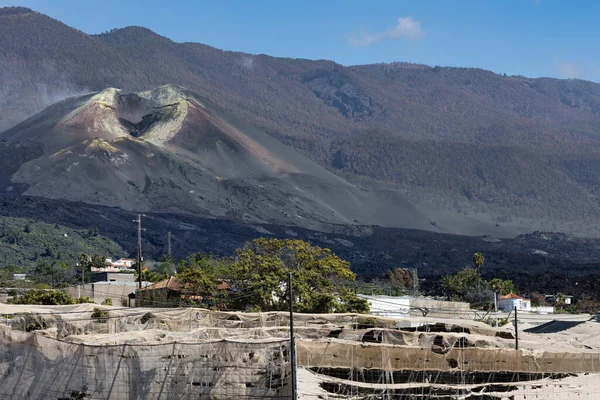 Banana plantations surrounded by lavaflows from volcano at la Palma — стокове фото