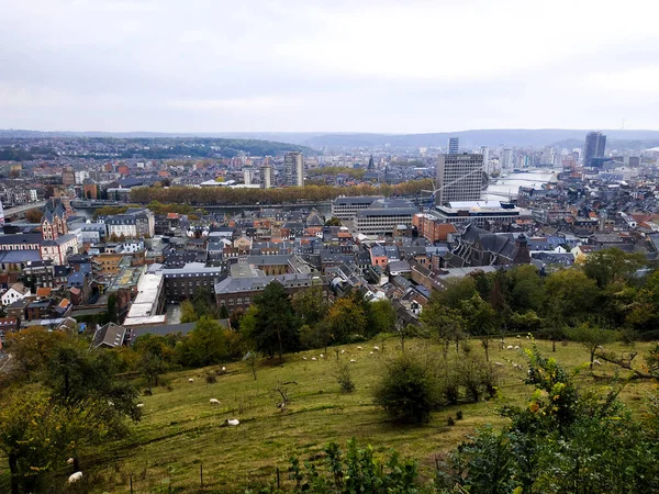 Panorama Dal Belvedere Vicino Alla Cittadella Liegi Belgio Sul Centro — Foto Stock