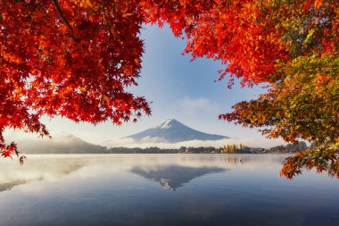 Fuji Dağı Yansıması ve Kızıl Akçaağaç Sonbaharda Sabah Buğusu, Kawaguchiko Gölü, Japonya