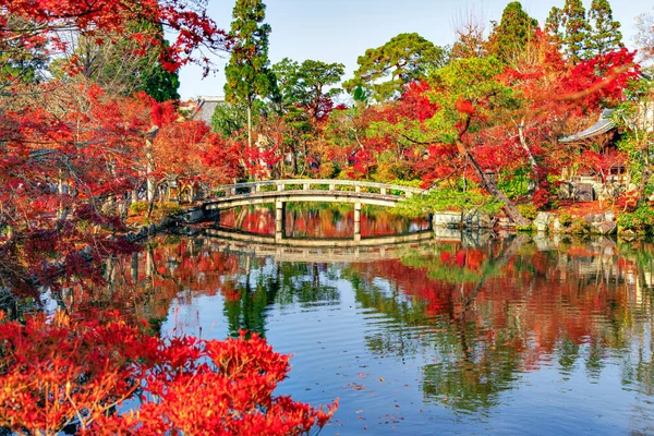 Giappone Novembre 2019 Ponte Pietra Attraverso Piccolo Stagno Circondato Aceri — Foto Stock