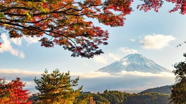 Fuji Dağı Yansıması ve Kızıl Akçaağaç Sonbaharda Sabah Buğusu, Kawaguchiko Gölü, Japonya