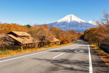 Fuji Dağı ve Sonbaharda Tanuki Gölü boyunca uzanan Yerel Yol, Shizuoka, Japonya