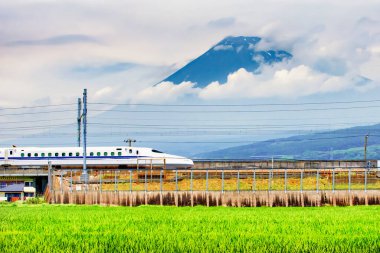 Japonya - 15 Temmuz 2019: Yüksek Hız Treni Shinkansen, Fuji Dağı Arkaplanı Shizuoka ile birlikte yaz mevsiminde Yeşil Pirinç Sahası 'ndan geçen tren yolunda koştu.