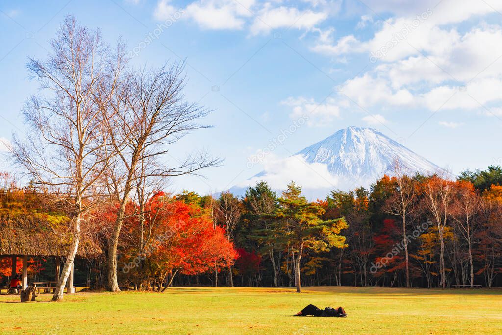Tourist enjoy sightseeing Colourful Maple Tree Forest in Autumn with Fuji mountain background at Saiko Wildbird forest park, Japan