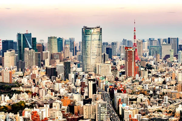 六本木ヒルズ森タワーと東京タワー 東京シティビュー Tokyo City View — ストック写真