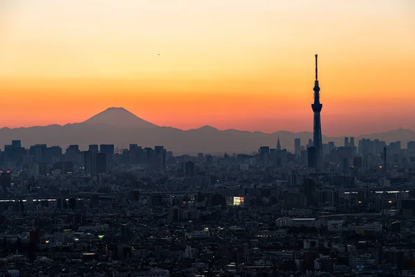 東京スカイツリーと富士山のシルエット 千葉県 — ストック写真