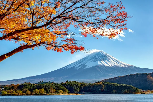 Montaña Fuji Arce Dorado Otoño Día Del Cielo Azul Lago — Foto de Stock