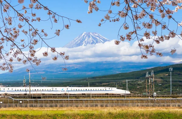 Japonsko Dubna 2019 Vysokorychlostní Vlak Shinkansen Jezdí Železnici Růžovými Větvemi — Stock fotografie