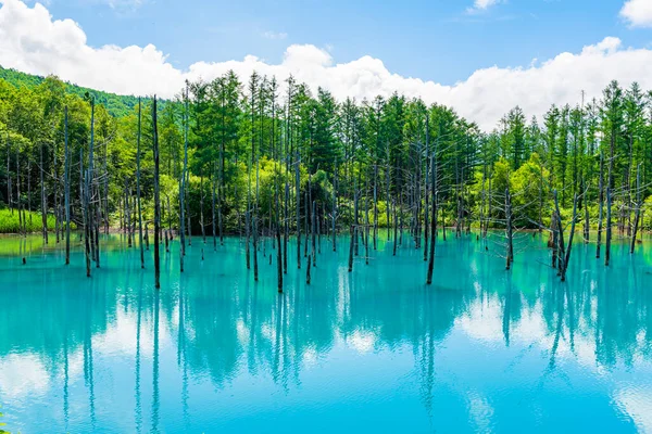 Yazın Shirogane Blue Pond, Biei Town, Hokkaido, Japonya