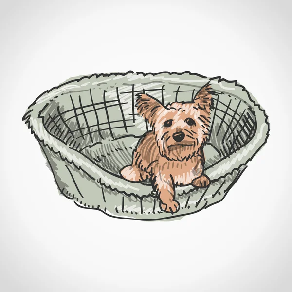 Yorkshire terrier dalam keranjang - Stok Vektor