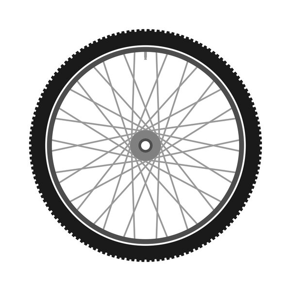 Isolated Bicycle Wheel