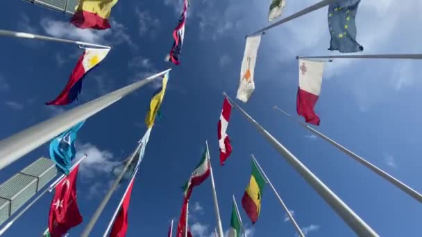 在蓝天白云的背景下 世界旗帜在风中飘扬 许多国家的国旗 国际贸易 关系概念 — 图库视频影像