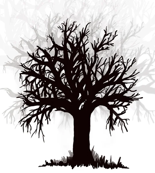 Δέντρο. μαύρο σιλουέτας — Φωτογραφία Αρχείου