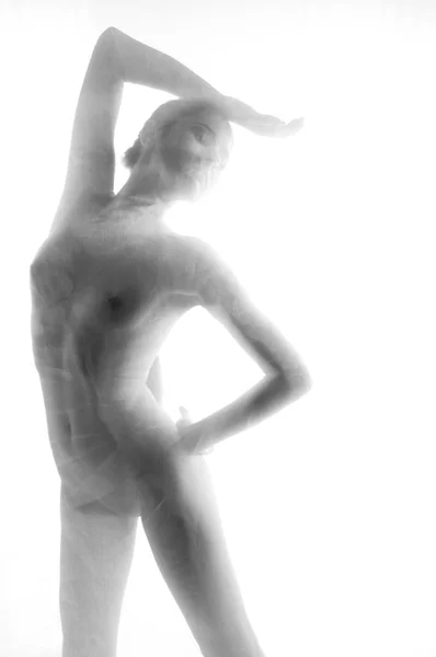 Diffuse sexy woman silhouette through tissue, body — Stock Photo, Image
