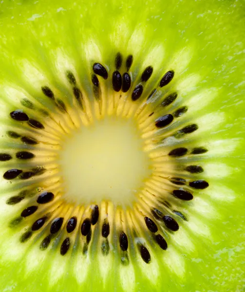 Gros plan sur les fruits Kiwis — Photo