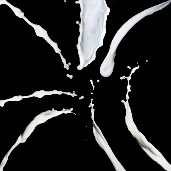 Milk splashes collection — Stock Photo, Image