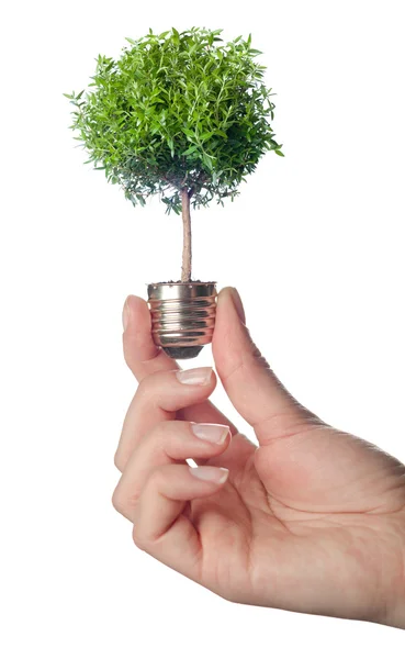 Eco groene energie opslaan in de toekomst concept — Stockfoto