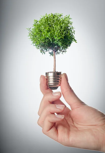 Eco grüne Energie sparen in Zukunft Konzept — Stockfoto