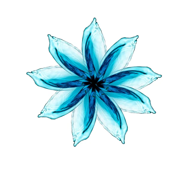Flower made of water splash — Stock Photo, Image
