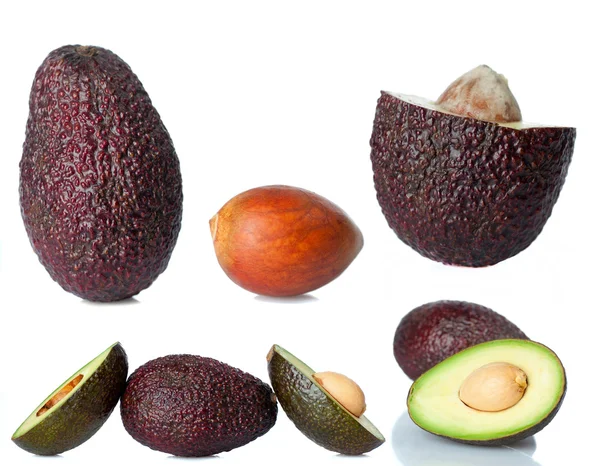 Set of avocado images — Foto de Stock